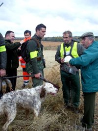 La caza de liebre y perdiz roja se reducirá a 10 días durante la temporada 2012-2013