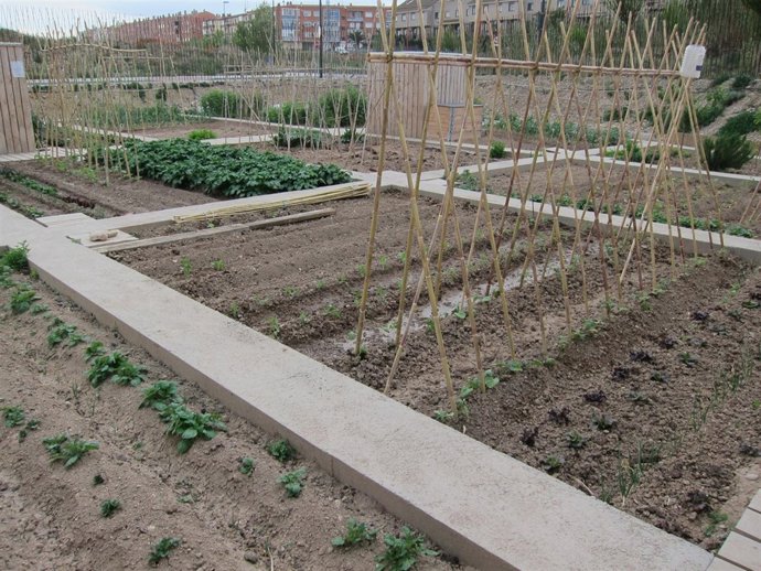 Huerto Social Urbano