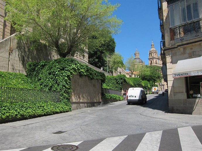 Calle Palominos De Salamanca, Que Pasará A Ser Peatonal El Lunes