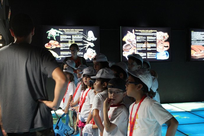 Campamentos De Verano De Faunia