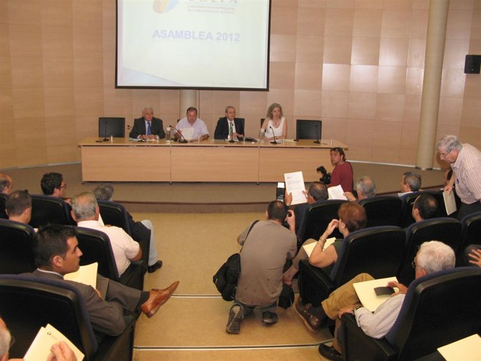 Asamblea General De Coepa