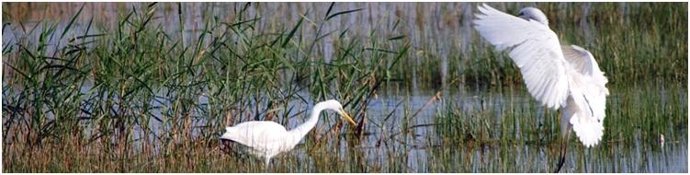 Parc Natural De La Albufera