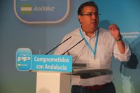 Zoido sobre el congreso regional: El PP-A tiene que salir como "un partido ganador y preparado para gobernar"