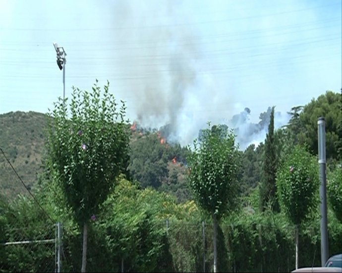 Incendio En La Sierra De Collserola