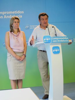 José Loaiza, Presidente Provincial Del PP