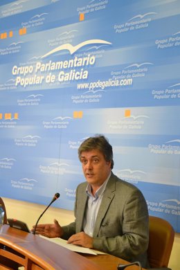 Declaracións De Pedro Puy Sobre A Sesión Plenaria Do Parlamento