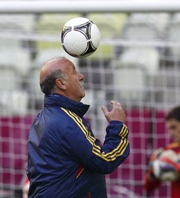 Vicente Del Bosque Entrenamiento Selección Española