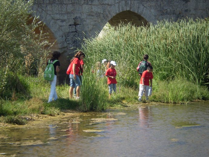 Actividades Medioambientales De Caja De Burgos      
