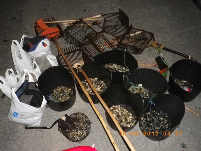 Almeja requisada en Galicia