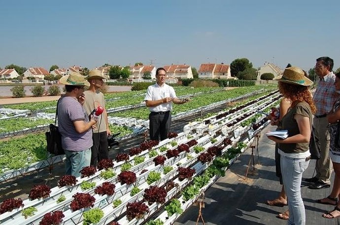 Investigaciones Agrarias de Ruralcaja