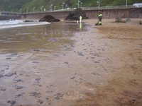 Efectivos de Emulsa colaboran en la limpieza de la playa de Peña María