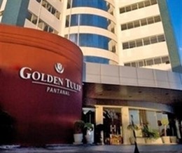 Golden Tulip