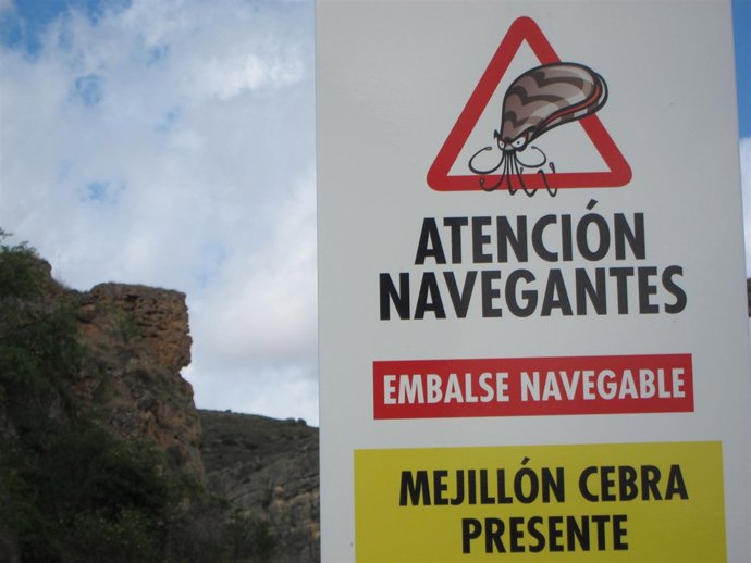 El Mejillón Cebra Es Una Expecie Invasora