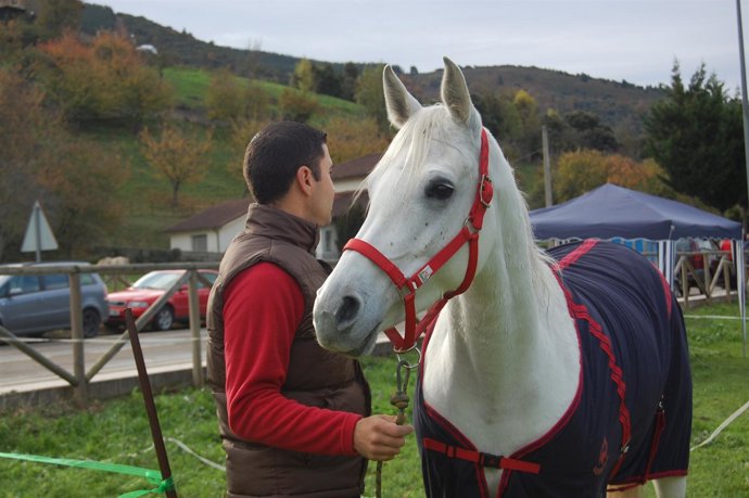 Caballo Y Jinete Del Raid