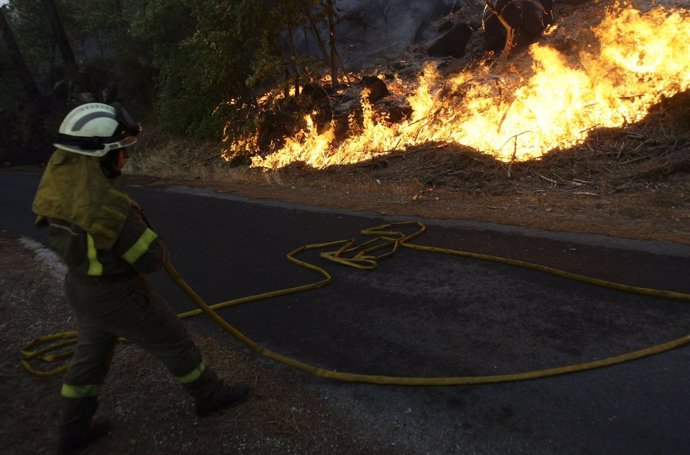 Incendio Forestal En Vilariño De Conso, Ourense (Galicia)