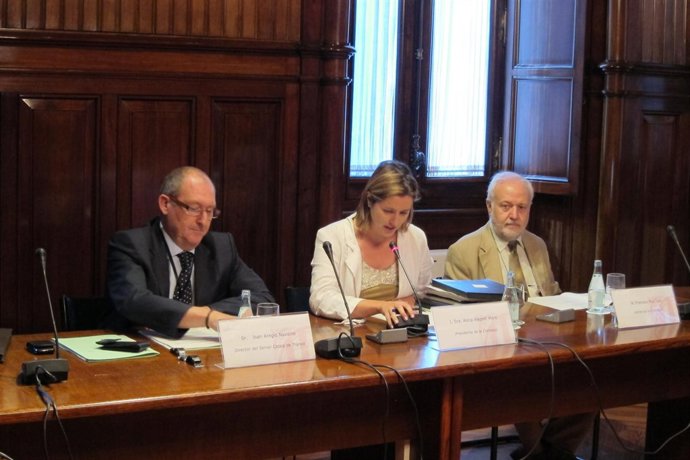 El Director Del Servei Català De Trànsit, Joan Aregio