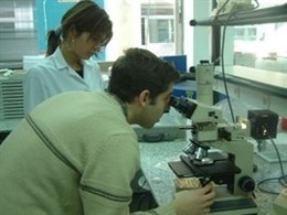 Investigación