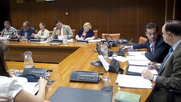 Comisión De Industria, Innovación, Comercio Y Turismo