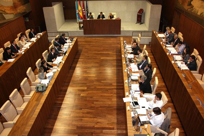 Pleno De Leganés