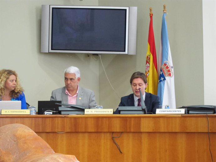 Comparencia En Comisión De Jesús Gamallo, Director Xeral De Relacións Exteriores