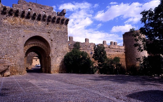 Puerta Del Alcázar Del Rey Don Pedro