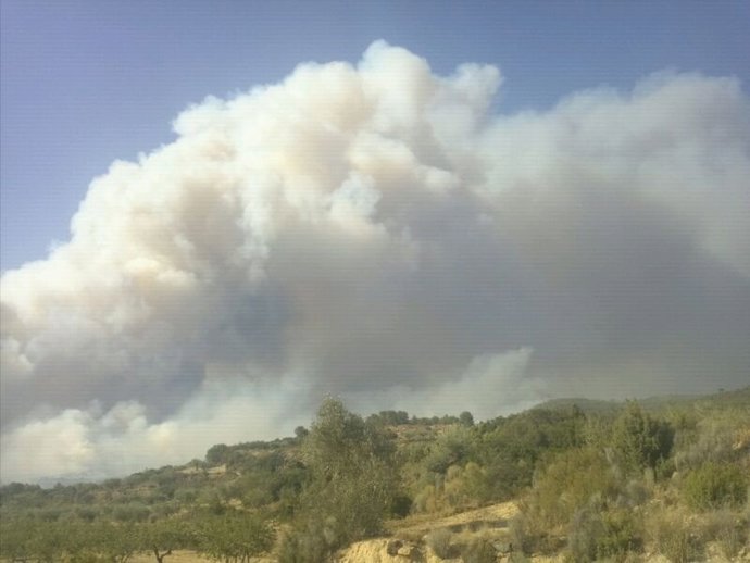 Imagen Del Humo Del Incendio En Andilla (Valencia)