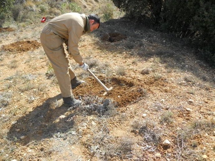 Recuperación De Árboles Frutales En La Font Roja