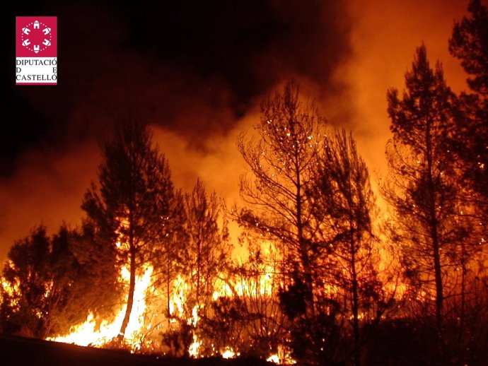 Imagen Del Fuego En La Noche Del Sábado