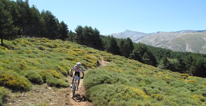 Ciclista Participante En El Rally De Mountain Bike Celebrado En Sierra Nevada