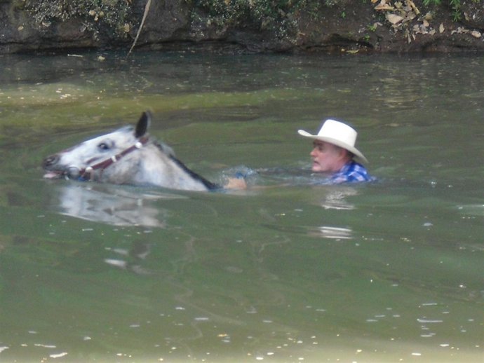 Una De Las Actividades Previstas Para El Curso De Chico Ramírez.