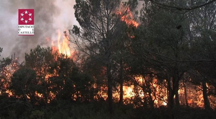 Imagen Del Incendio Declarado En Andilla