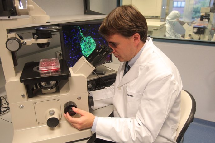 El Doctor Miguel Barajas (Área De Terapia Celular) Observa Al Microscopio.