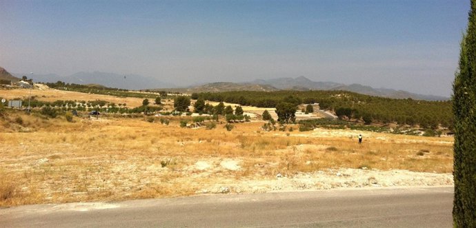  Zona Devastada Por El Fuego En El Término Municipal De Calasparra