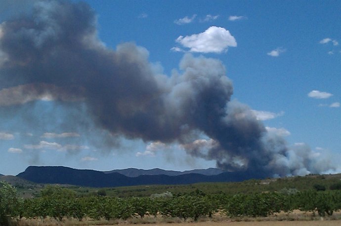 Incendio Hellín 
