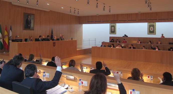 Pleno Ordinario De La Diputación De Marzo