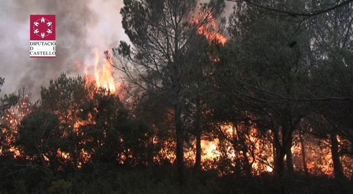 Imagen Del Incendio Declarado En Andilla