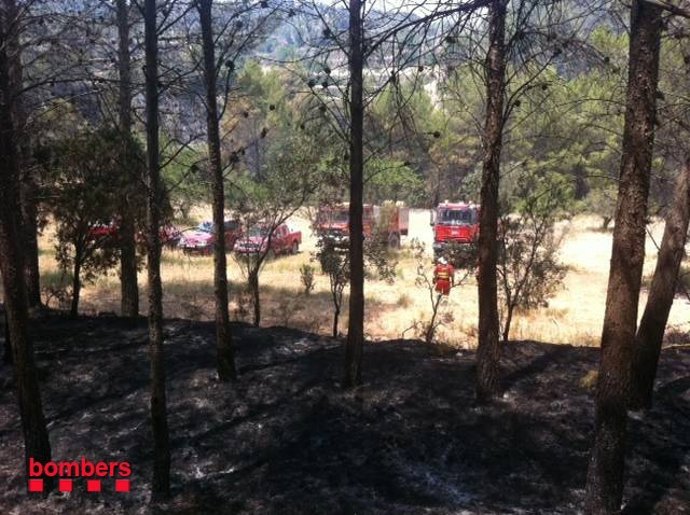 Convoy De Los Bomberos De La Generalitat