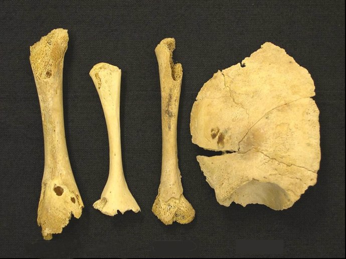 Huesos de bebés con cientos de años