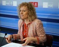 Díaz Tezanos cree que los PGE son "malos sin paliativos" y que Rajoy "da la espalda" a Cantabria