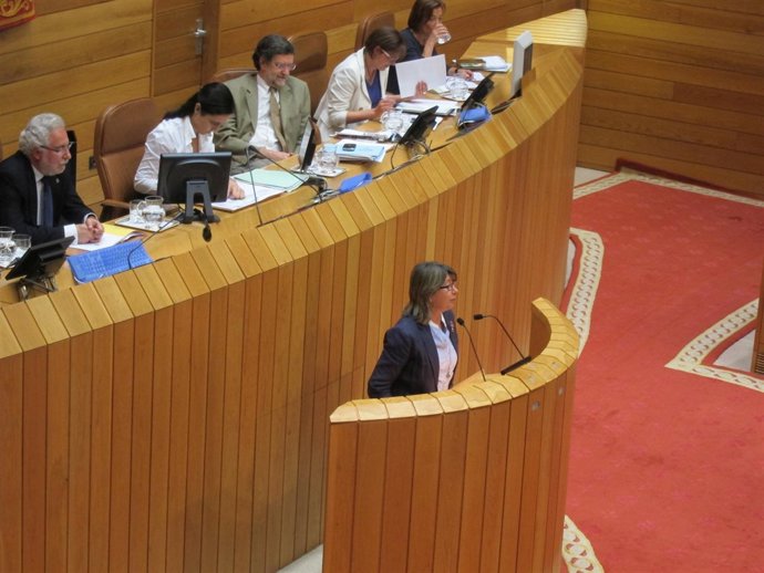 Conselleira De Mar en el pleno