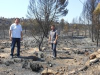IU pide al Gobierno central que declare zona catastrófica a las poblaciones afectadas por el fuego de Hellín