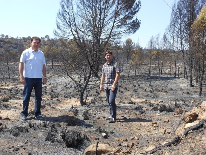 Martínez y Morcillo en la zona del incendio