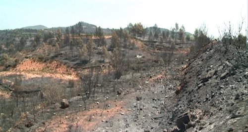 Incedios En La Comunitat Valencia