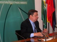 M.Junta asegura que "no existe riesgo" por la nube negra provocada por incendio en Alcalá de Guadaíra