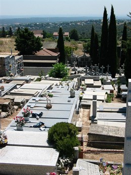 Robo Frustrado Torrelodones