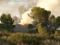 El incendio de Moratalla (Murcia) está controlado 