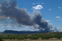 Incendios.- El fuego de Hellín (Albacete) podría haber arrasado entre 6.500 y 7.000 hectáreas