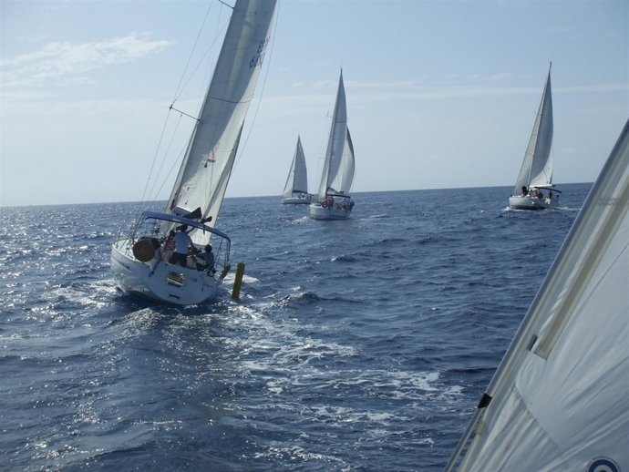 Veleros Durante Una Regata