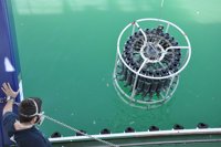 La erupción submarina de El Hierro recrean posibles condiciones en el océano