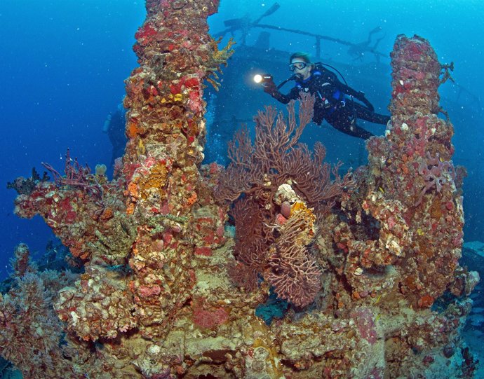 Imagen de un arrecife de coral